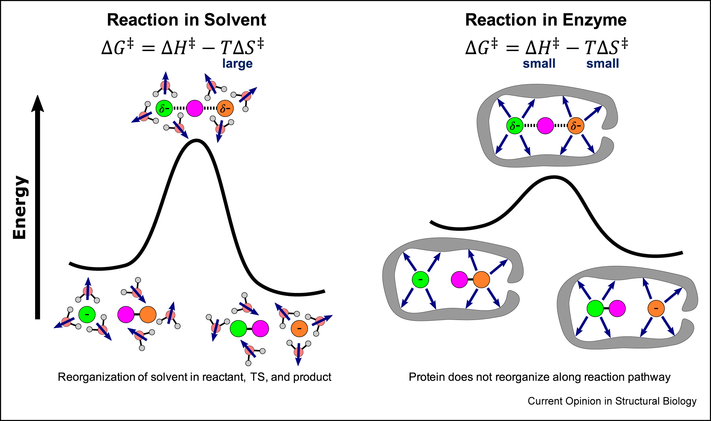 Advances in optimizing enzyme electrostatic preorganization TOC