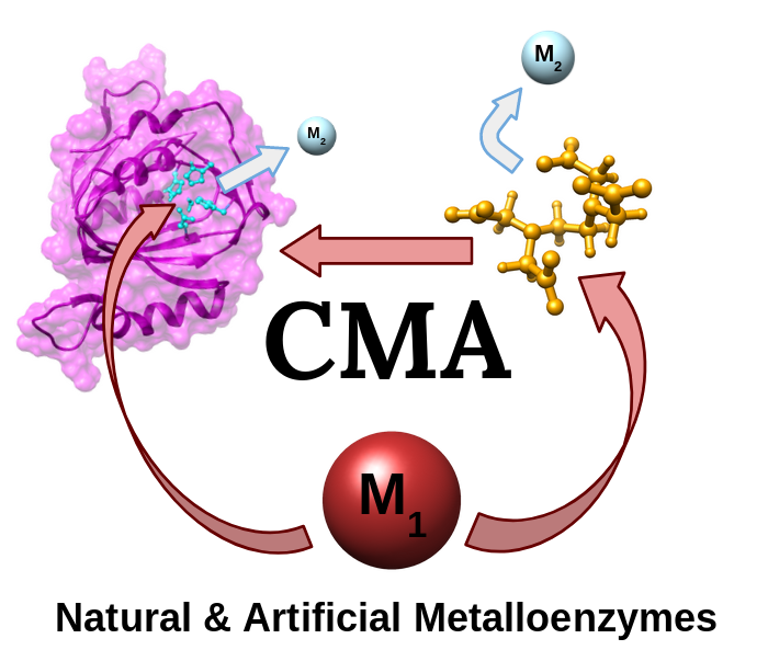 The Case for Enzymatic Competitive Metal Affinity Methods TOC