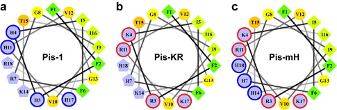 Histidine‐Mediated Ion Specific Effects Enable Salt Tolerance of a Pore‐Forming Marine Antimicrobial Peptide TOC